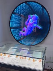 -众刺纹画·纹身·穿孔饰品·海娜定制