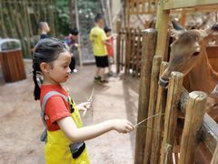 -杭州开元森泊度假乐园