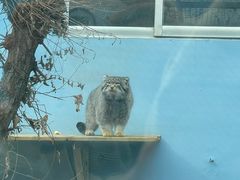 -青藏高原野生动物园