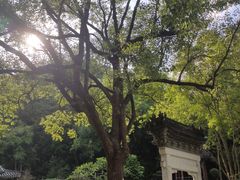 -深圳国际园林花卉博览园