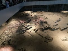 -自贡恐龙博物馆