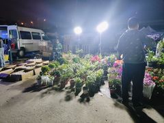 -中环花鸟鱼虫市场