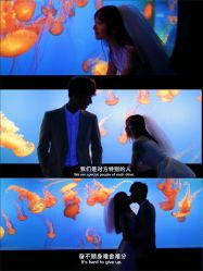 -绽放摄胶片摄影工作室
