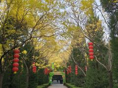 -大槐树寻根祭祖园