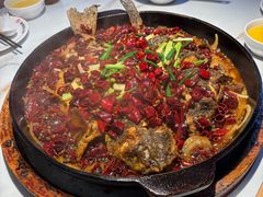 -老板恋上鱼(高新万达店)