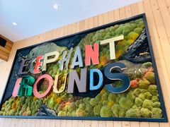 -Elephant Grounds(STARSTREET)