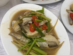 -老三鱼仔店