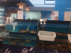 -中商优品汇超市(中南店)