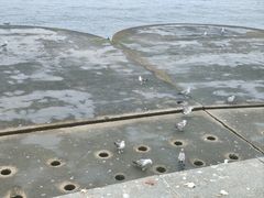 -星海广场
