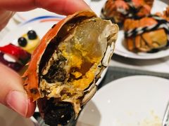 -张江海科雅乐轩聚聚乐