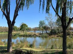 -东郊湿地公园