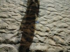 -大梅沙海滨公园-停车场