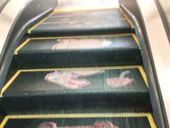 电梯的画-远洋未来广场(育慧北路店)