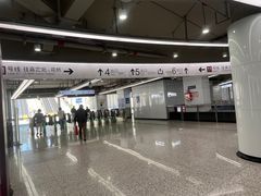 -东方体育中心(地铁站)