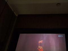 -新紫霞养生·影院足道·SPA(金山区店)