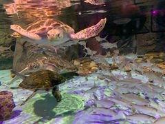 -波塞冬旅游度假区