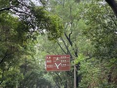 -大雁山风景区