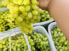 -马陆小张葡萄园农家乐