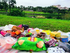 -宝安西湾红树林湿地公园