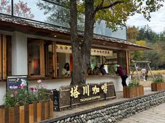 -塔川景区
