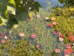 -雅达·阳羡溪山小镇中心