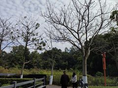 -广东金融学院(校本部)