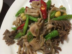 爆双花-丁老爷子苏香圆