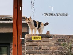 -潭柘寺景区