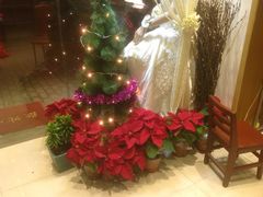 -FEI FEI FLOWER鲜花店·气球派对·宝宝宴布置(虹口德必运动Loft店)