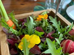 -烛影拾光观景餐厅·创意菜·摄影·小提琴(大唐不夜城店)