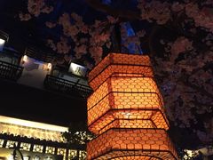 -桂满隴·站立的杭州(无锡八佰伴店)