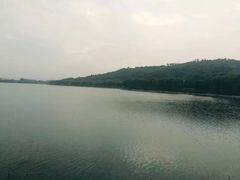 -羊山湖公园
