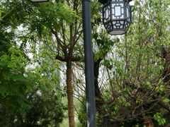 -武清南湖绿博园