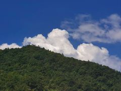 -武陵山森林公园