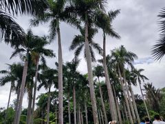 -中国科学院西双版纳热带植物园