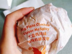 -麦当劳(西安雁塔路店)