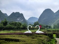 -靖西鹅泉风景区