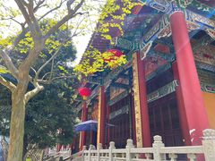 -都江堰普照寺