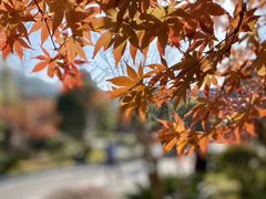 -剑河仰阿莎温泉小镇