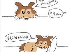 -瑞鹏宠物医院·眼科·皮肤·中兽医(大悦城分院)