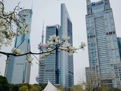 -陆家嘴中心绿地