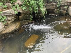-山乡农家院(海淀区西北旺店)