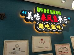 -新概念来凤鱼(璧山店)