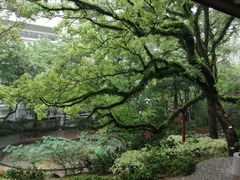 -香港大学