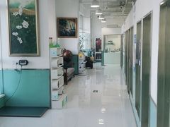 -欧奕国际动物医院