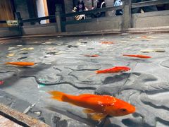 -四季民福烤鸭店(前门店)