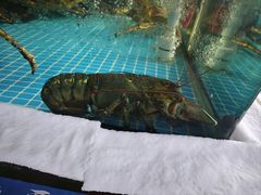 -小红鲸·海鲜餐厅(轸大路店)