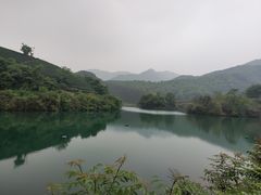 -龙坞茶村