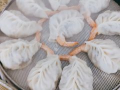 -小叶大馅饺子城