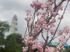 -观澜湖生态运动公社